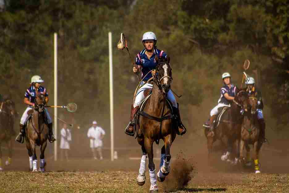 The best 7 polo games for PC in 2024